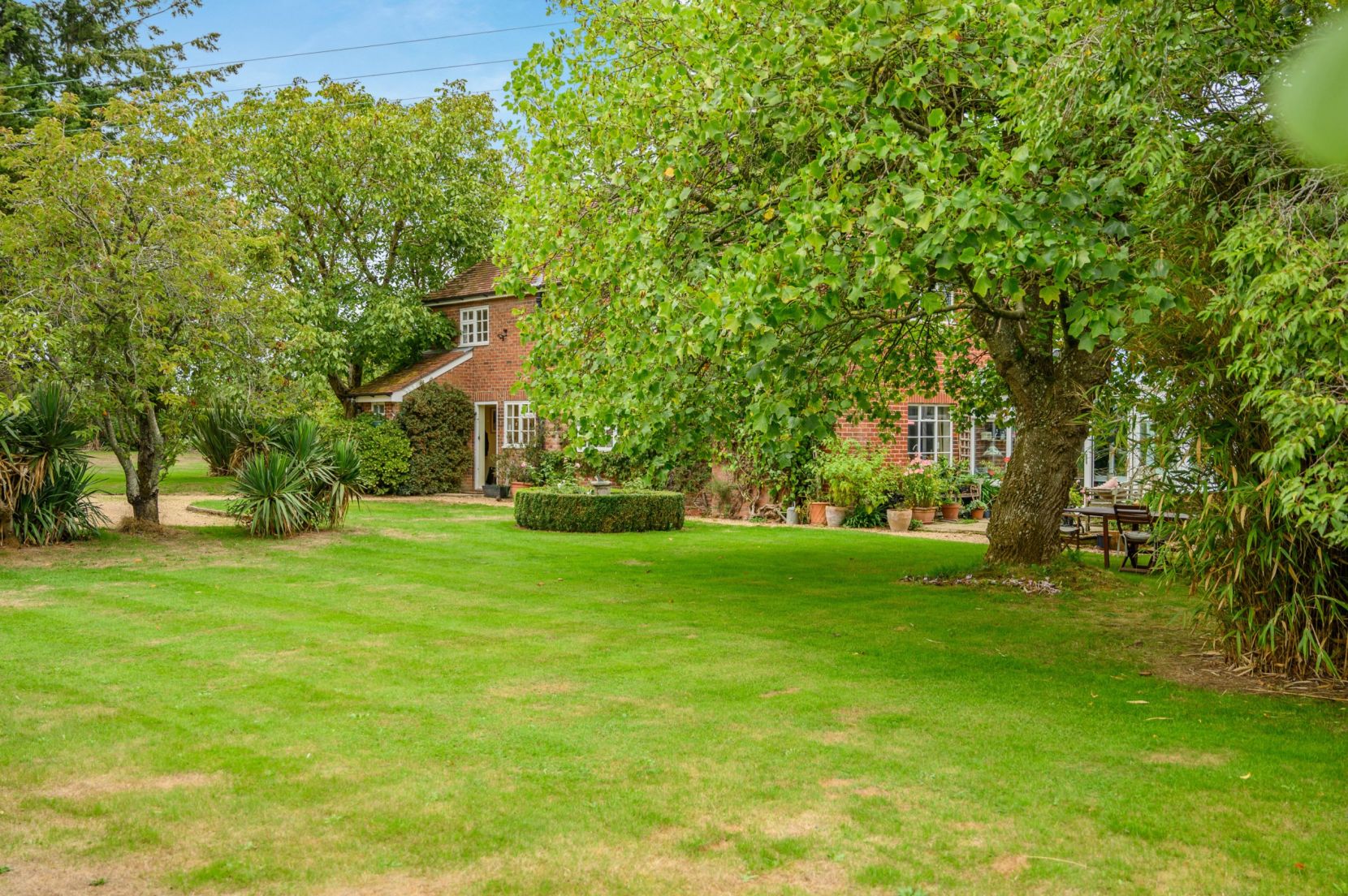 Garden