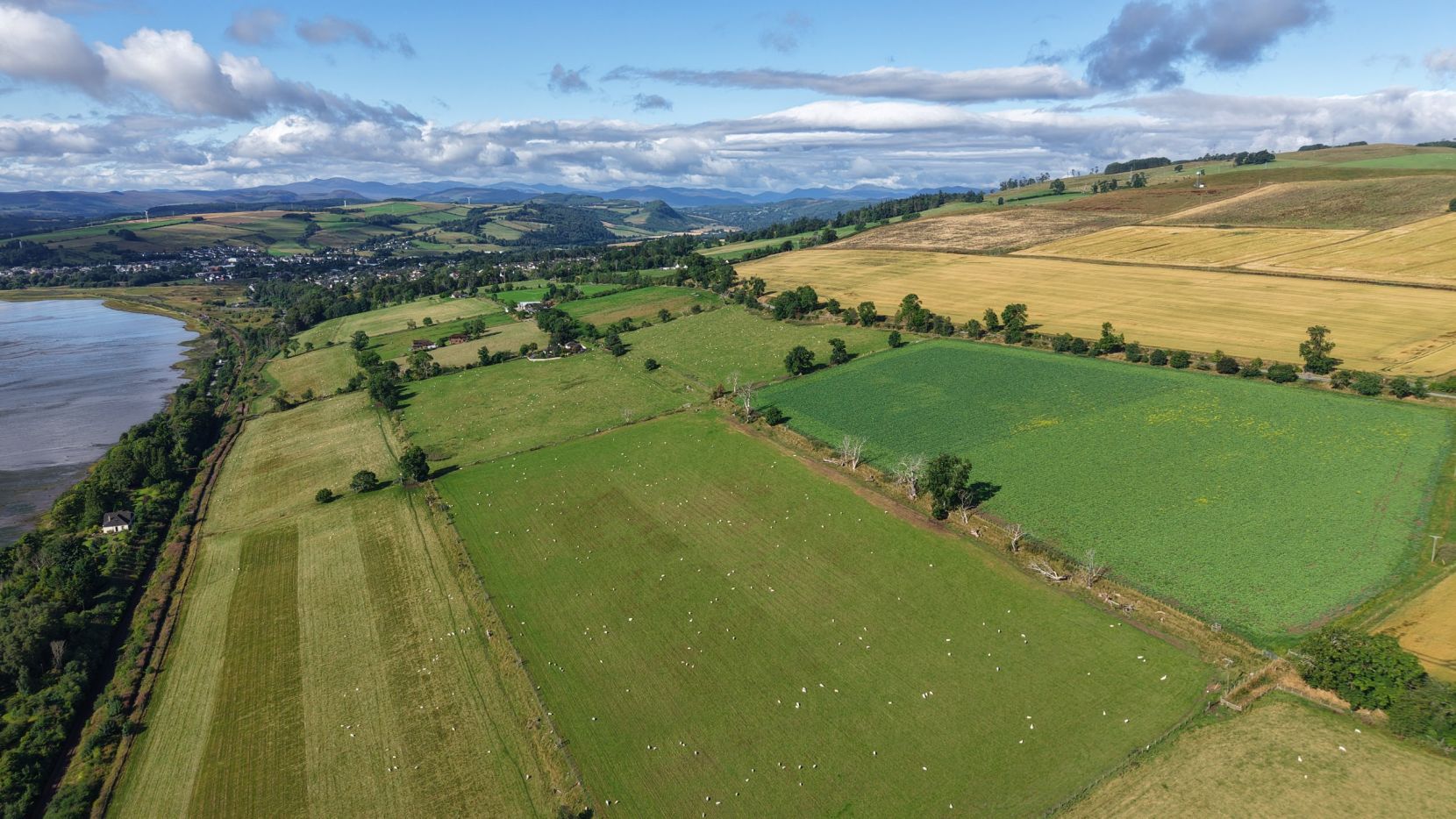 Lot 2 - Mountrich