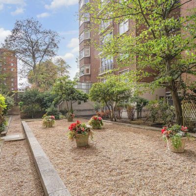 Communal Garden
