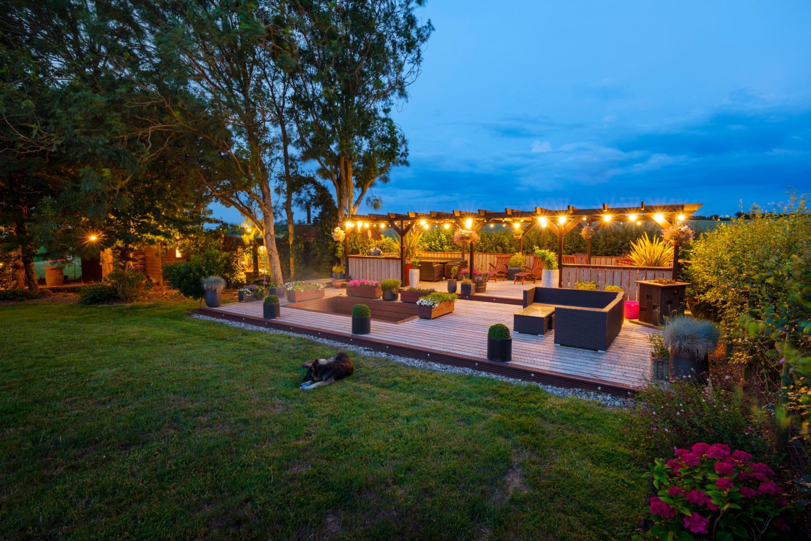 Garden