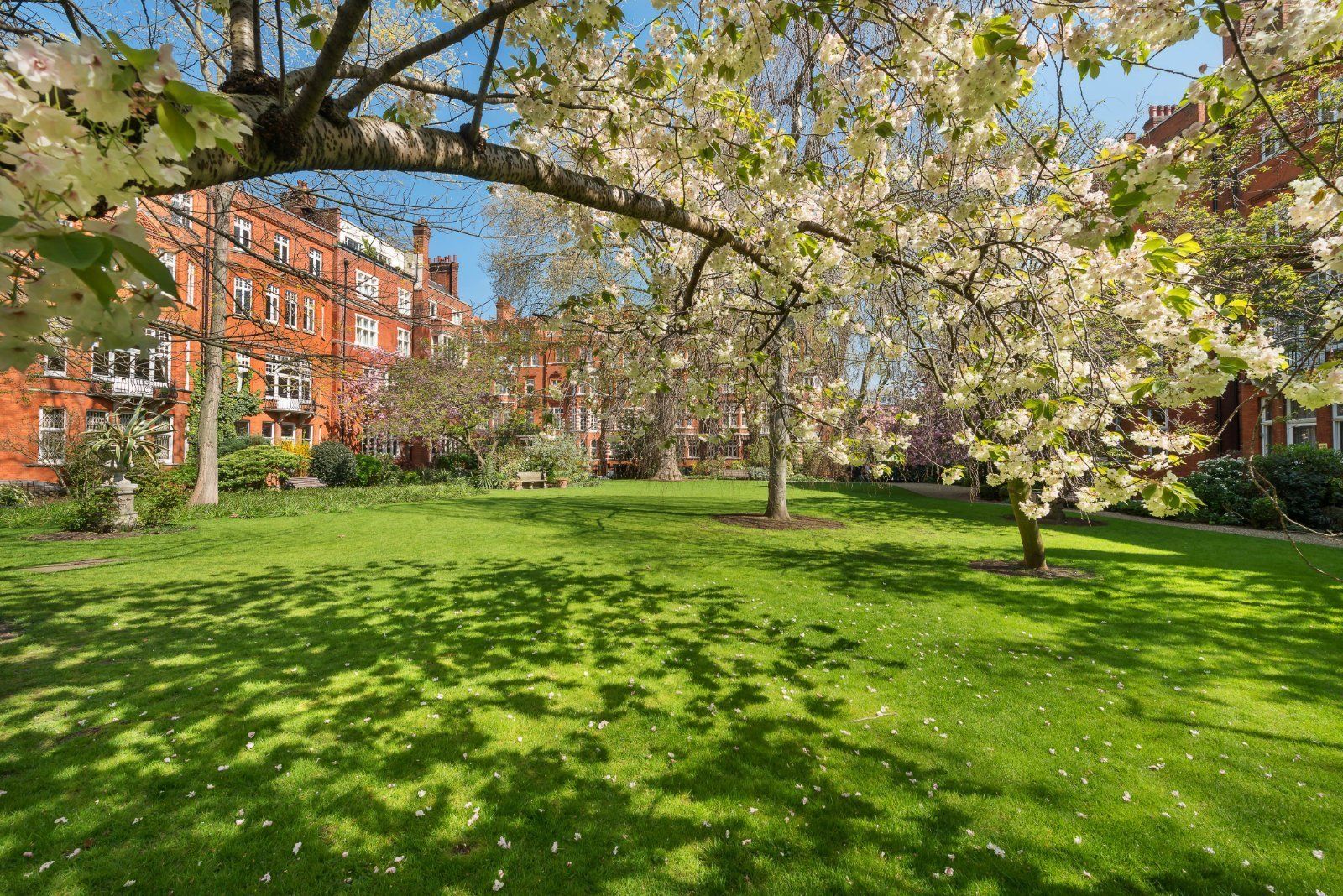 Communal Gardens