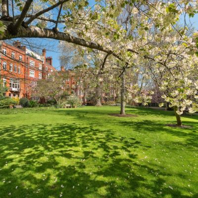 Communal Gardens