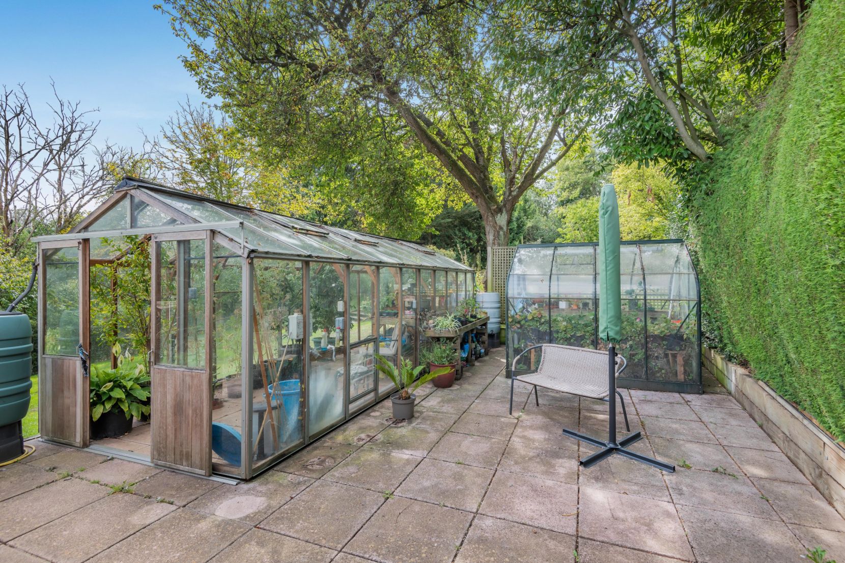 Greenhouse
