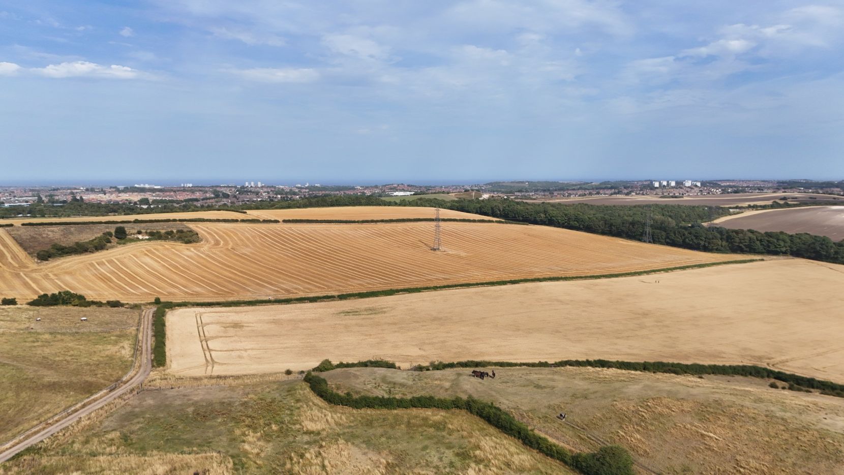Lot 1
