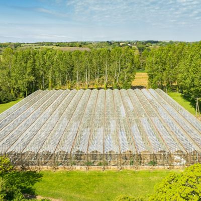 Glasshouses