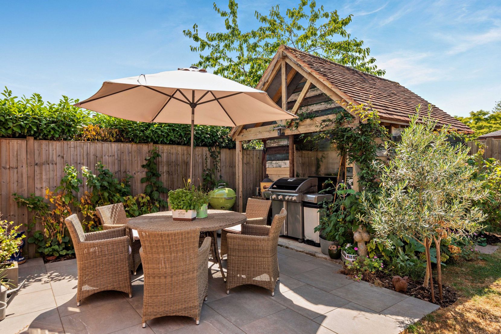 Patio and Bbq Area