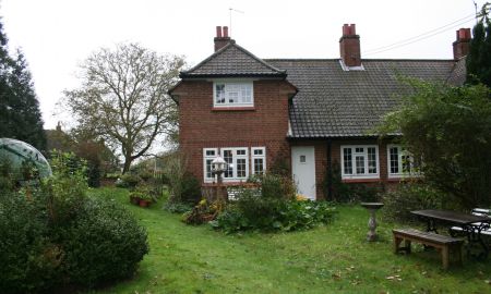 Main Picture