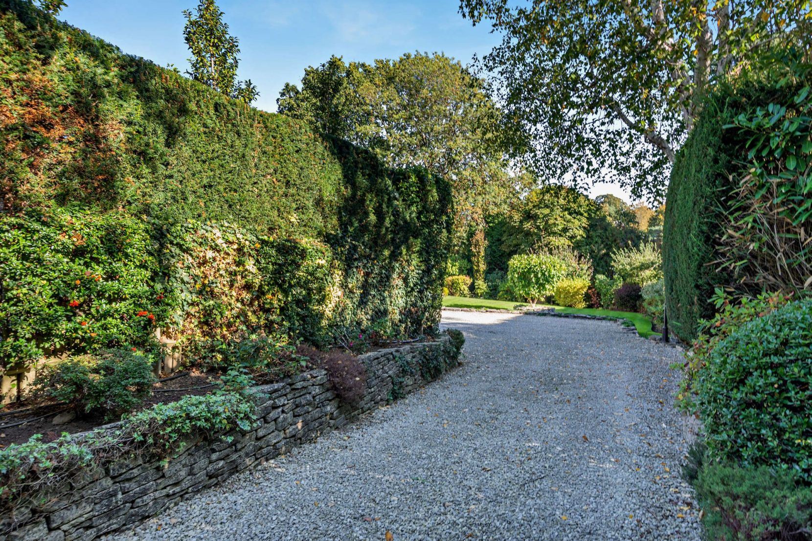 Driveway