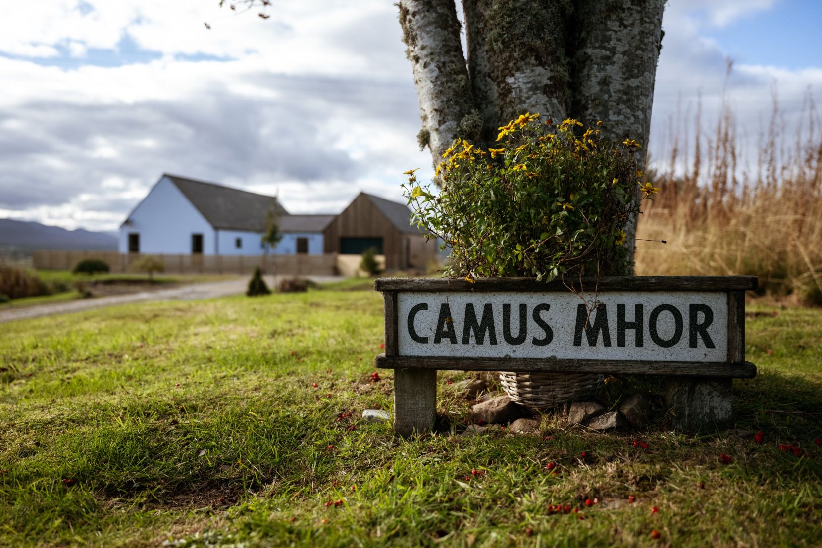 Camus Mhor