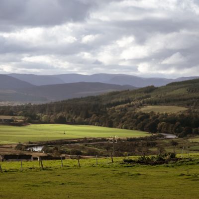 Camus Mhor