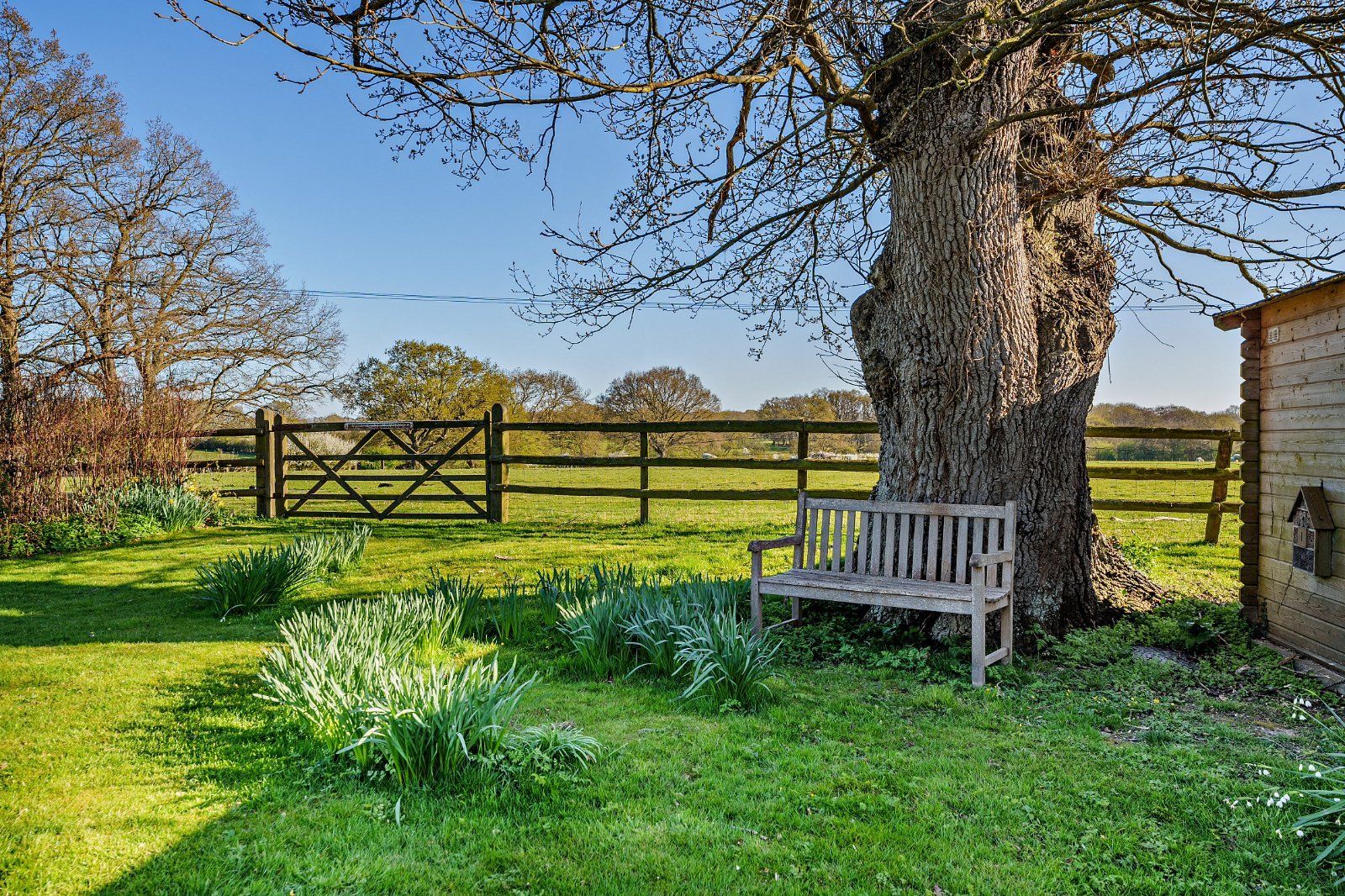Grounds