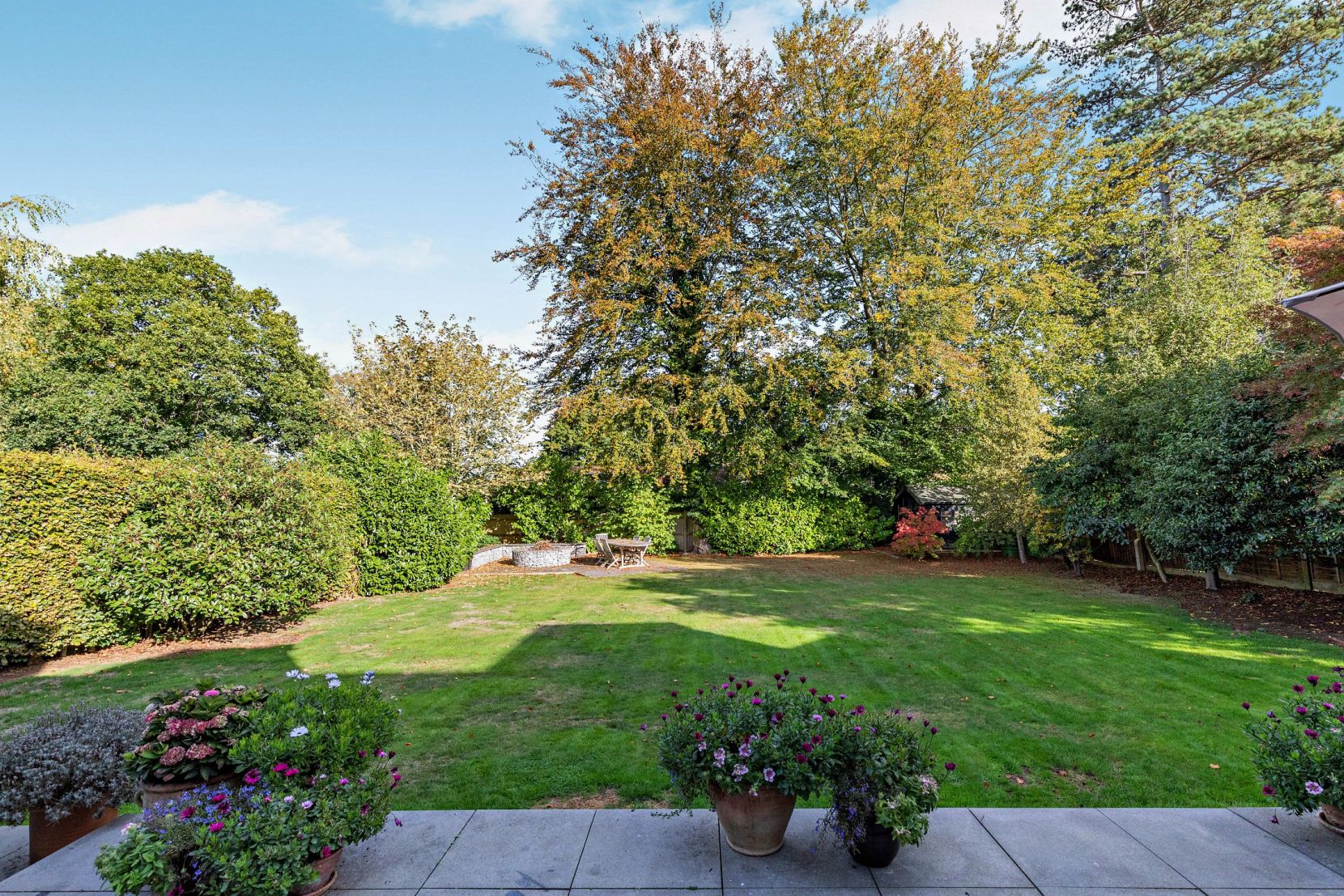 Garden