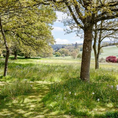 The Woodland