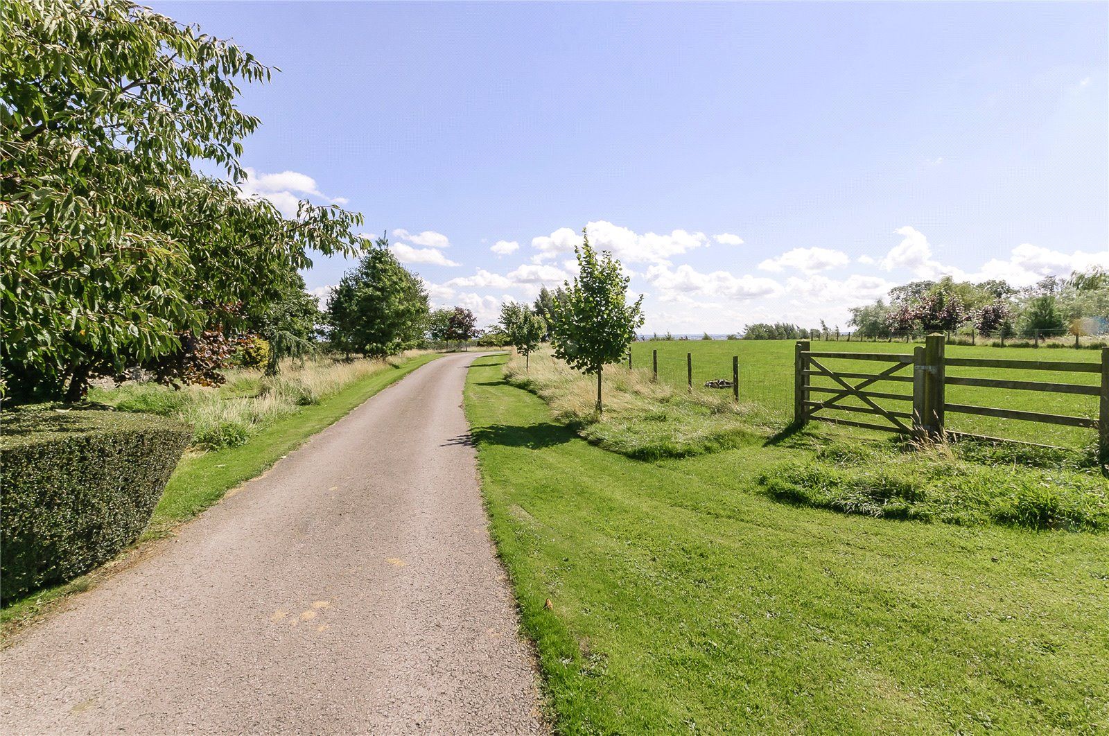 Driveway