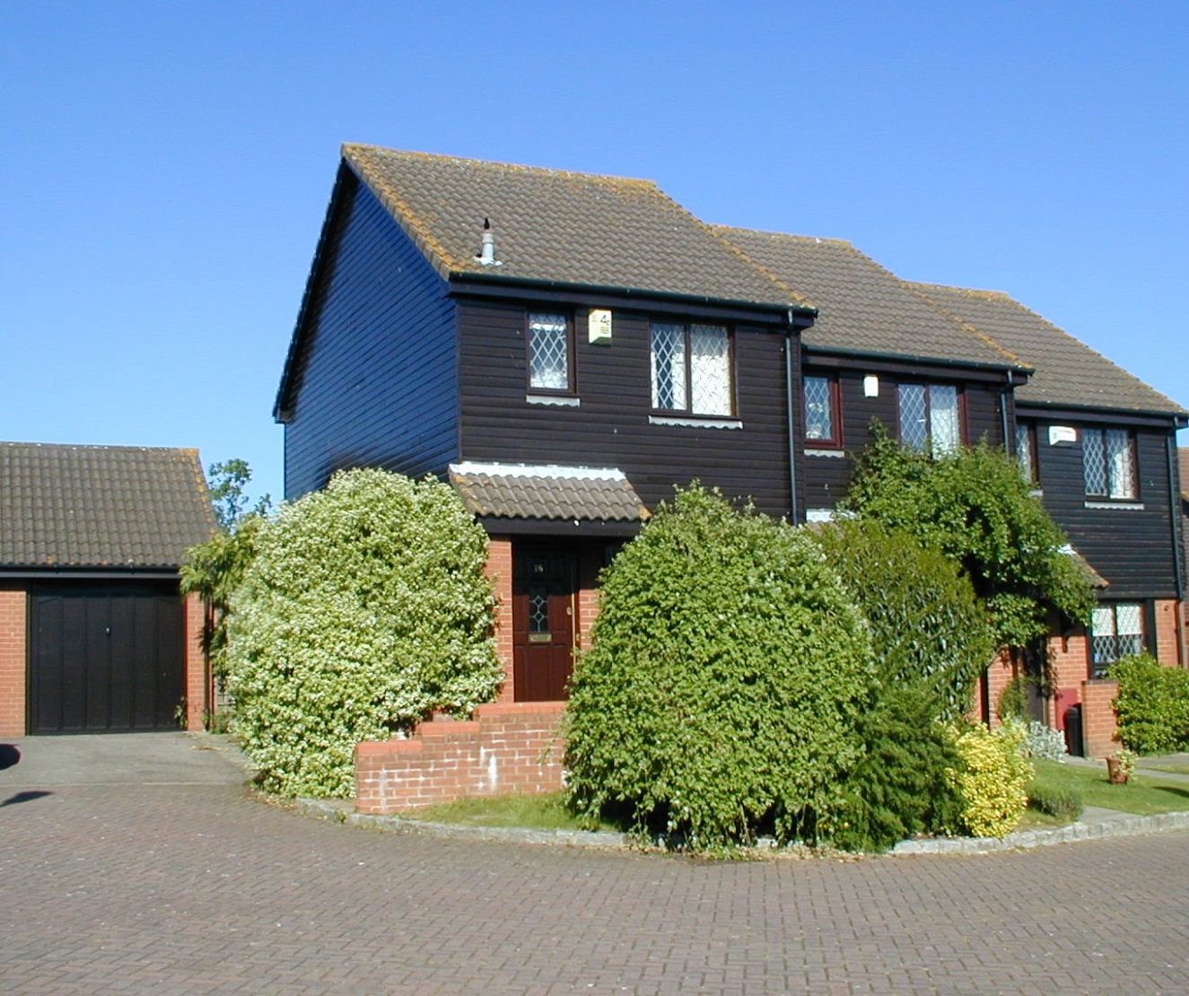 Main Image