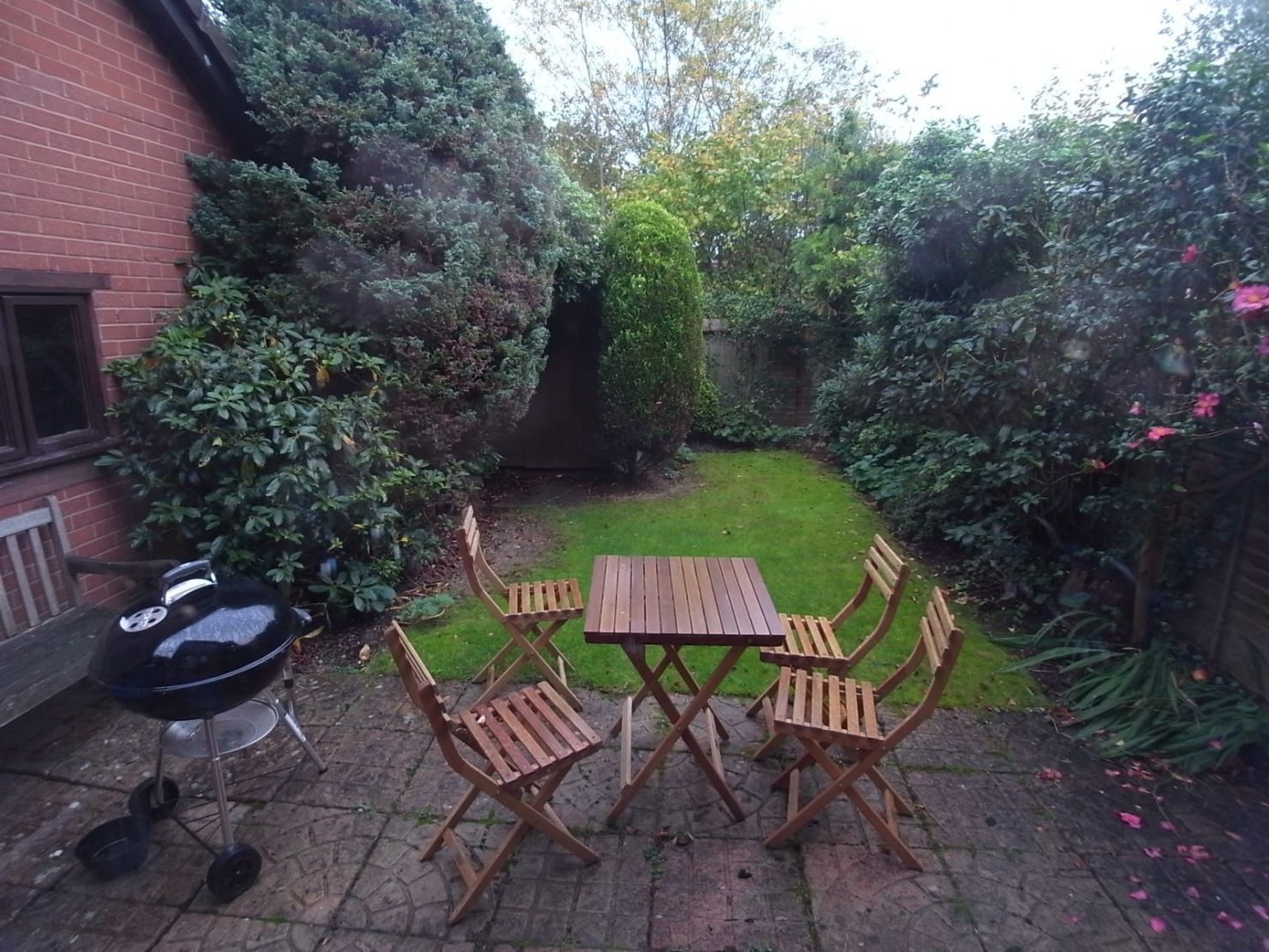 garden
