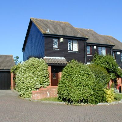 Main Image