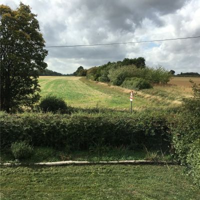Garden 2