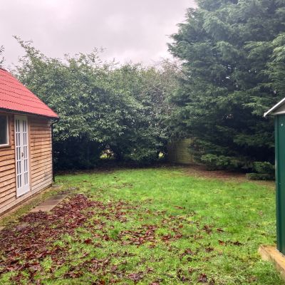 Summerhouse & Shed