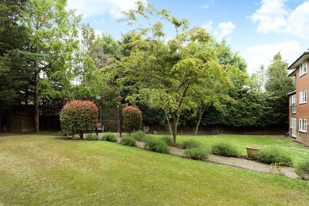 Communal Garden 2