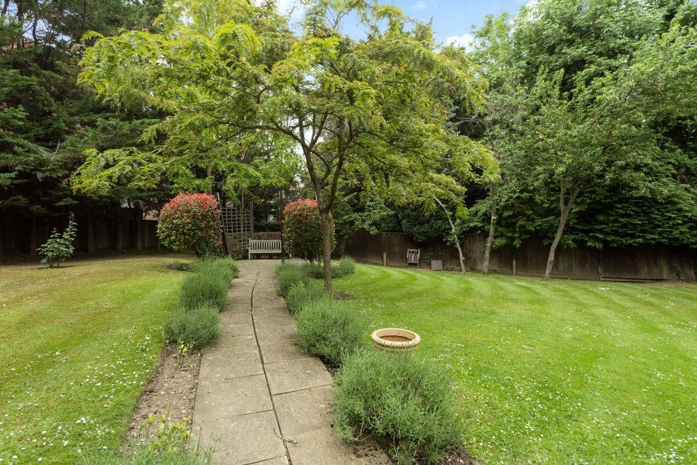 Communal Garden 1