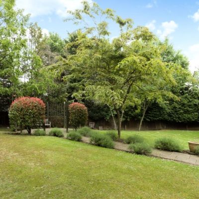 Communal Garden 2