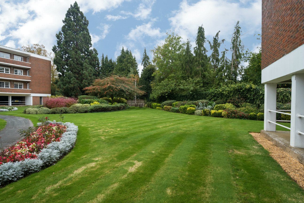 Communal Gardens