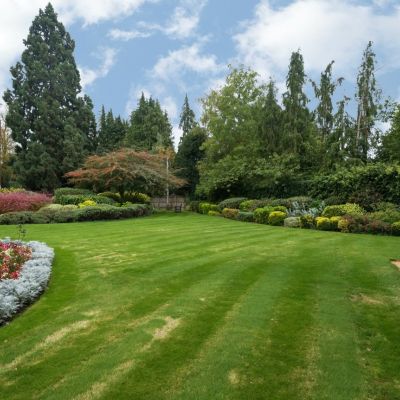 Communal Gardens
