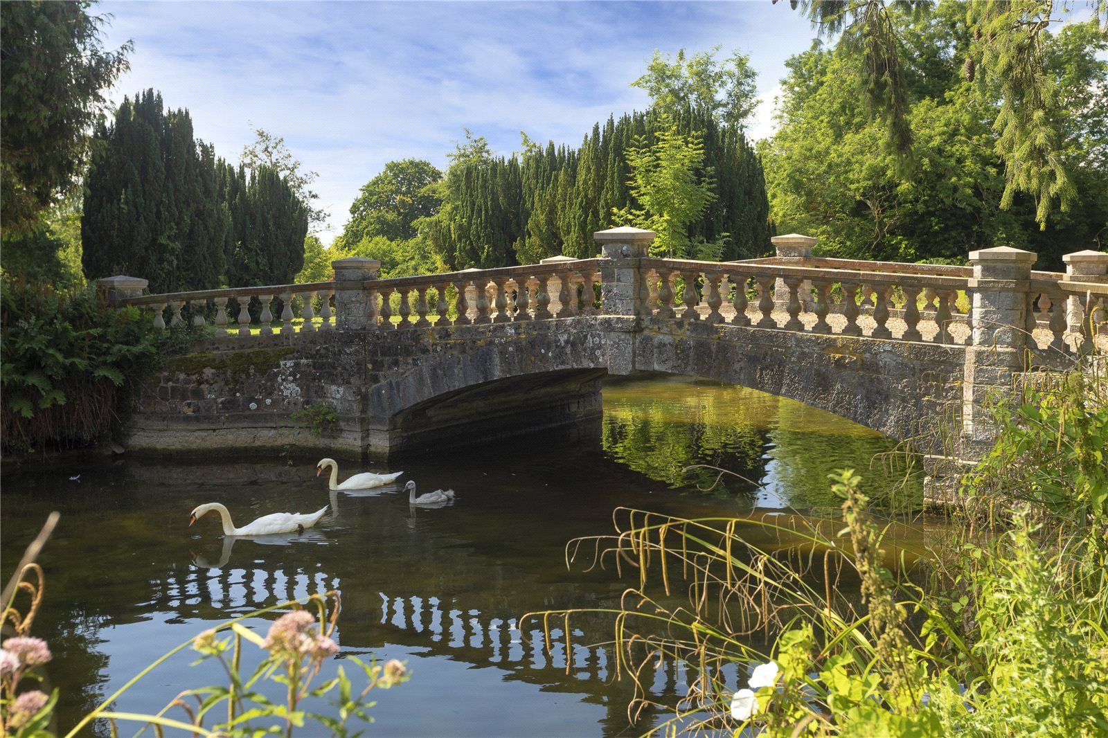 Bridge/Lake