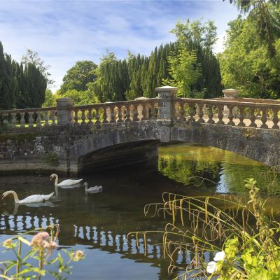 Bridge/Lake