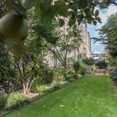 Communal Gardens