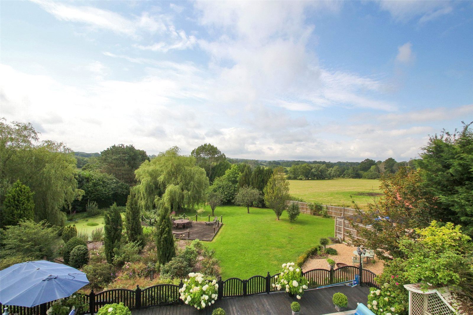 View Of Garden