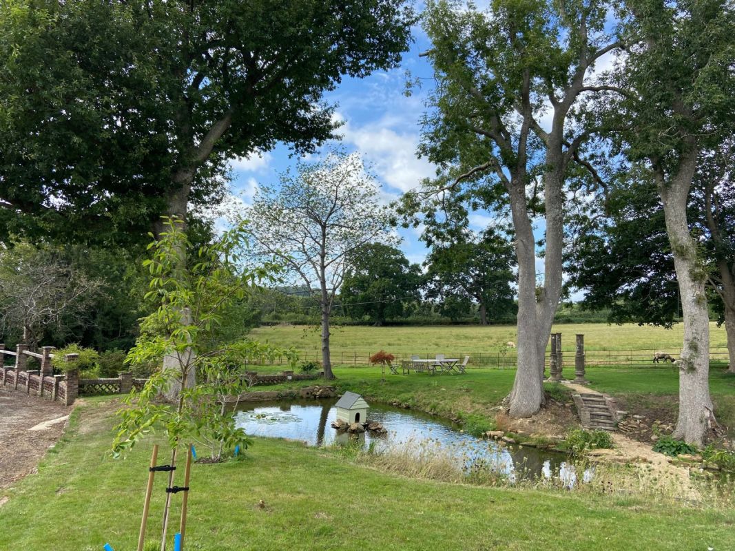 Pond and Field
