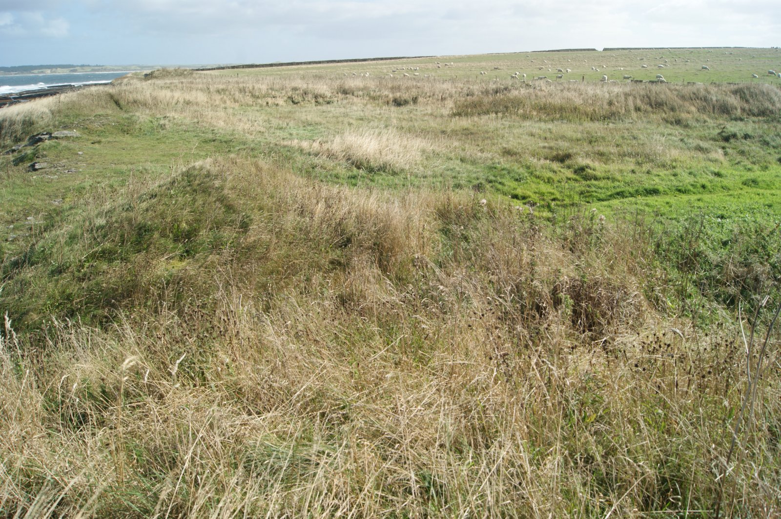 Land At Mill Park