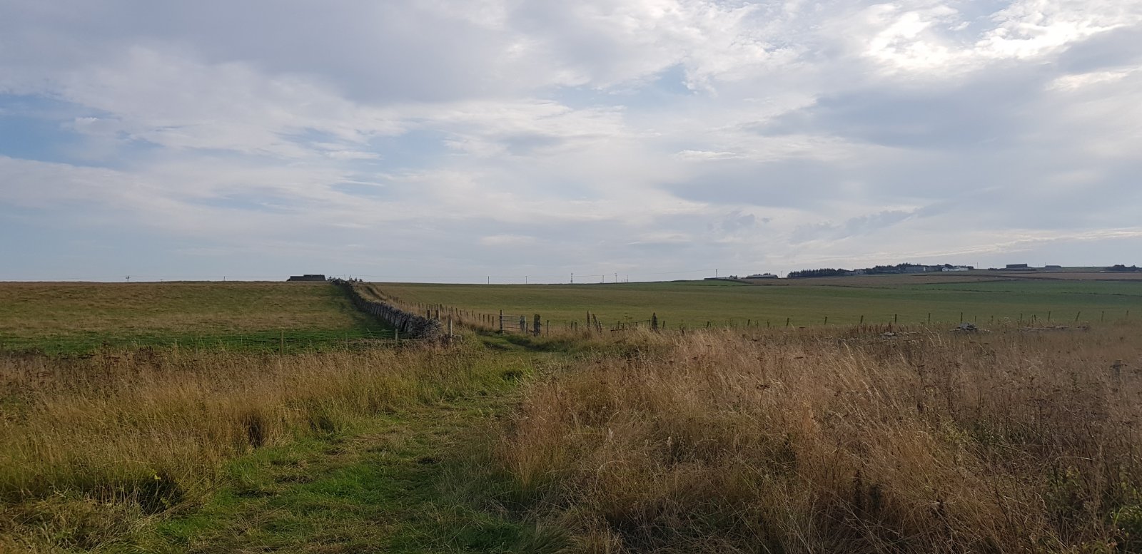 Land At Mill Park