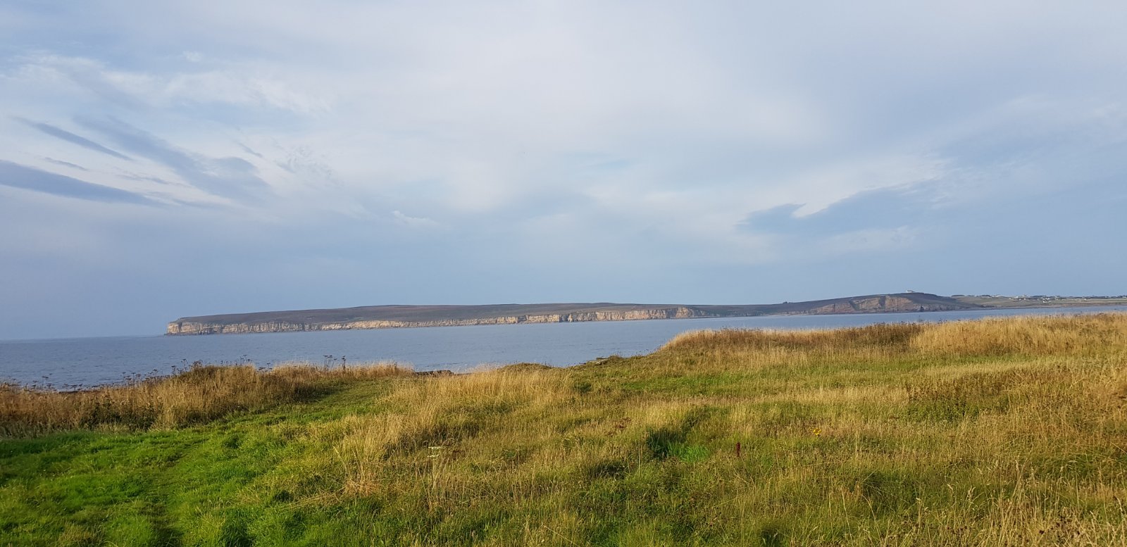 Land At Mill Park